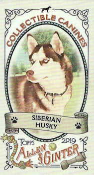 2019 TOPPS ALLEN & GINTER - COLLECTIBLE CANINES MINI - SINGLES -