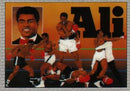 1991 ALL WORLD BOXING COMPLETE SET -
