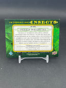 2022 UPPER DECK GOODWIN CHAMPIONS - INTERESTING INSECTS - EMERALD SWALLOWTAIL -