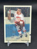2024 UPPER DECK PARKHURST CHAMPIONS - RETRO-ACTIVE - T. LINDSAY / M. TKACHUK -
