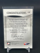 2012 IN THE GAME HEROES & PROSPECTS - N. RITCHIE -