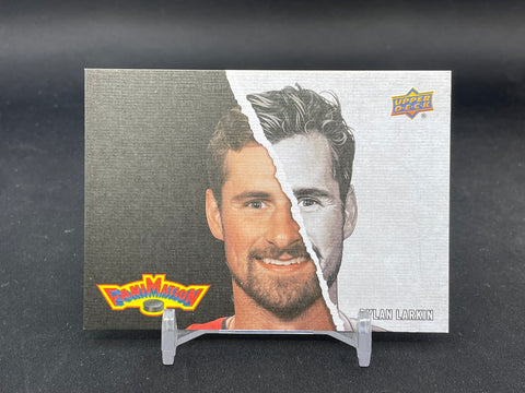 2025 UPPER DECK SERIES ONE - FANIMATION - D. LARKIN - #F-12