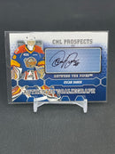 2012 IN THE GAME BETWEEN THE PIPES - CHL PROSPECTS - O. DANSK -
