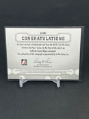 2012 IN THE GAME BETWEEN THE PIPES - DECADES - D. RIGGIN -