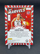 2025 PANINI DONRUSS WNBA - NET MARVELS - L. HULL -