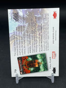 2023 UPPER DECK MARVEL FLAIR - FALL FLAIR - HOBGOBLIN - #79 - #'D/299