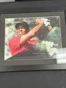 TIGER WOODS PORTRAIT WITH GLOVE RELIC (SHIPPING NOT AVAILABLE)