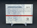 2006 IN THE GAME USED - BETWEEN THE PIPES - R. LUONGO -