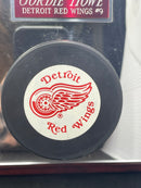 MR HOCKEY. GORDIE HOWE AUTOGRAPHED DISPLAYED - JSA AUTHENTICATED