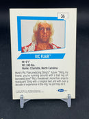 1991 WCW - R. FLAIR -