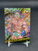 2022 PANINI REVOLUTION - GROOVE - ULTIMATE WARRIOR -
