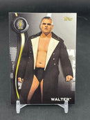 2019 TOPPS WWE - ROSTER WALTER -