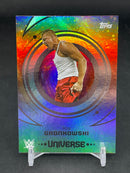 2025 TOPPS UNIVERSE WWE - R. GRONKOWSKI -