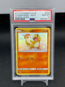 POKEMON - HIDDEN FATES - CHARMANDER - HOLO -