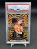 2024 PANINI SELECT - TIGER PRIZM - RICKY STEAMBOAT -