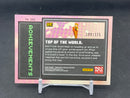 2025 PANINI MINECRAFT SPECIAL EDITION - ACHIEVEMENTS - TOP OF THE WORLD - #201 - #'D/325