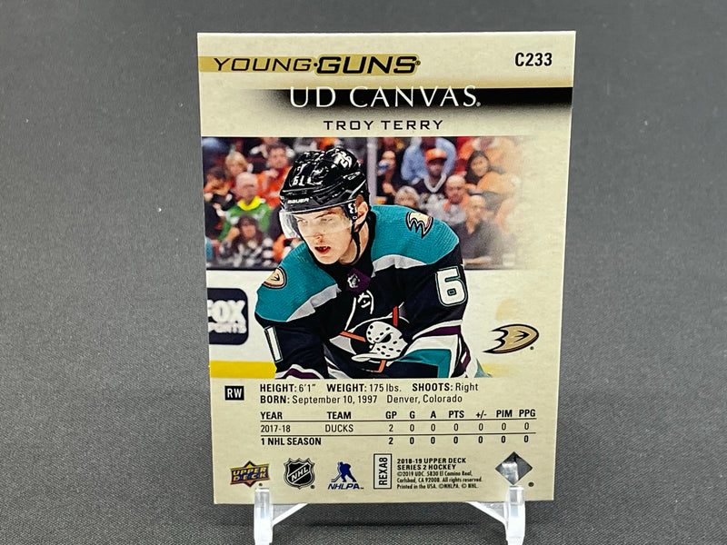 2018 UPPER DECK SERIES TWO - UD CANVAS - YOUNG GUNS - T. TERRY -