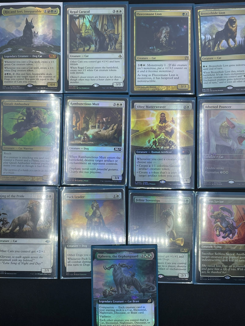 MTG - RIN AND SERI, INSEPERABLE - COMPLETE CAT/DOG DECK!