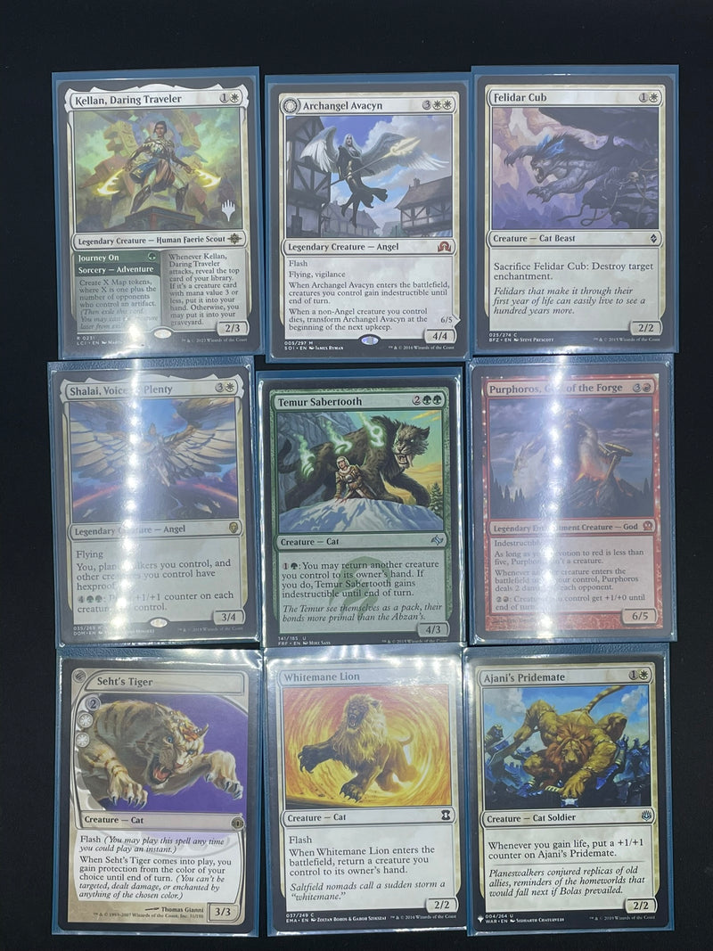 MTG - RIN AND SERI, INSEPERABLE - COMPLETE CAT/DOG DECK!