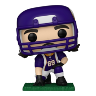 MINNESOTA VIKINGS JARED ALLEN POP
