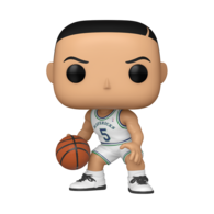 LEGENDS ROOKIE DALLAS MAVERICKS JASON KIDD POP