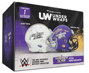 2026 FANATICS UNDER WRAPS WWE SUMMER SLAM MINI HELMET