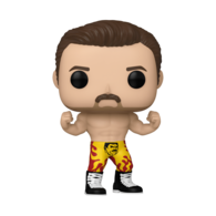 WWE "RAVISHING" RICK RUDE POP