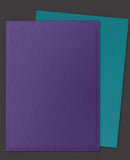 DRAGON SHIELD STANDARD SIZE DUAL MATTE SLEEVES 100 COUNT