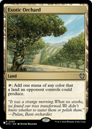 Exotic Orchard (OTC) [The List]