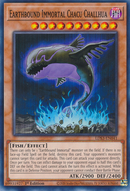 Earthbound Immortal Chacu Challhua [LDS3-EN041] Common