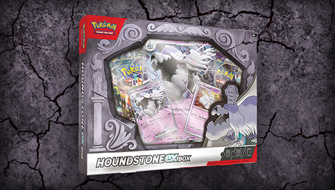POKEMON HOUNDSTONE EX BOX