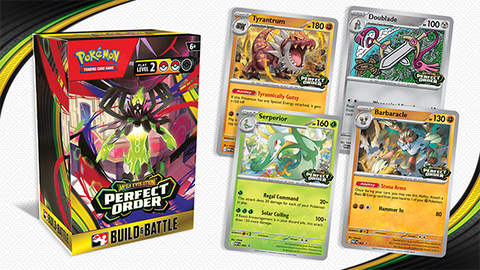 POKEMON PERFECT ORDER BUILD AND BATTLE KIT