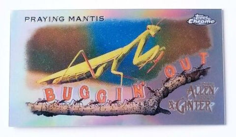 2020 TOPPS ALLEN & GINTER CHROME - MINI - BUGGIN' OUT - SINGLES - #MBOC1-MBOC20 - YOU PICK FROM LIST