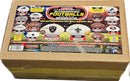 2026 TRISTAR HIDDEN TREASURES AUTOGRAPHED FOOTBALL SEASON EDITION BOX