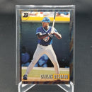 1993 TOPPS BOWMAN - PLAYER OF THE YEAR - FOIL - C. DELGADO -