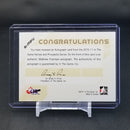 2010 IN THE GAME VAULT - HEROES AND PROSPECTS - M. PUEMPEL -