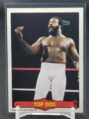 1985 O-PEE-CHEE - TOP DOG -