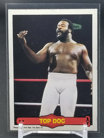 1985 O-PEE-CHEE - TOP DOG - #27