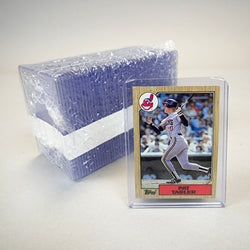 ULTRA PRO 100PT TOPLOADER BULK 50CT