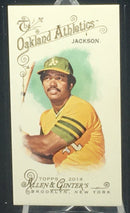 2014 TOPPS ALLEN AND GINTER - R. JACKSON -