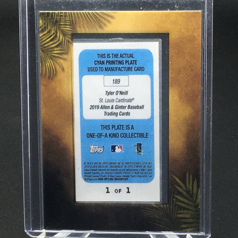 2019 TOPPS ALLEN AND GINTER - T. ONEILL -