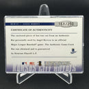 2005 PRIME PATCHES - MAJOR LEAGUE MATERIALS - A. BERROA - #MLM-33 - #'D/250 - BAT RELIC - AUTOGRAPH